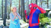 Spiderman & Harley Quinn are Arrested by Police! Frozen Elsa, Mummy & T-Rex - Funny Superheroes