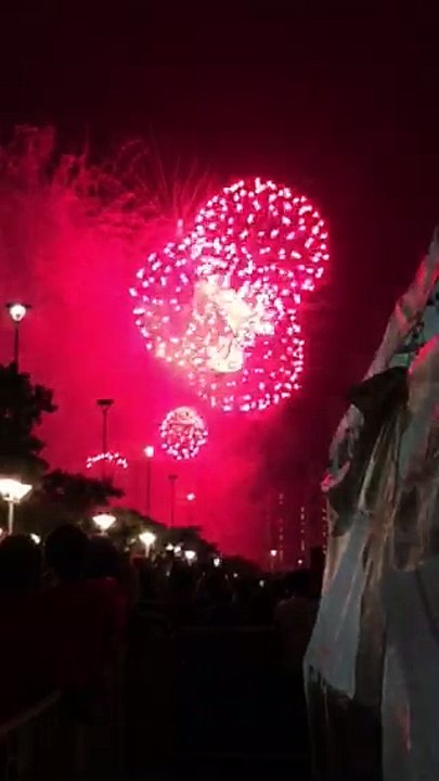 SG50 Fireworks!!