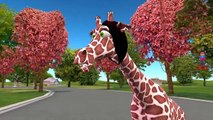Finger Family Animals Giraffe Funny Cartoons for Children | Finger Family Children Nursery Rhymes