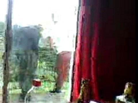 débriefing précrémaillère