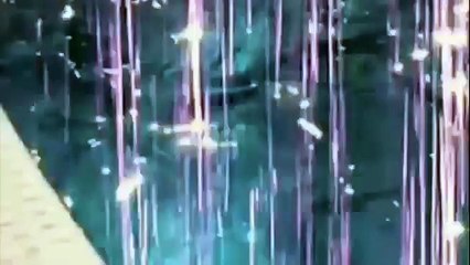 funny cats,funny cat videos,funny animals,funny video,cats funny,funny videos,funny cat