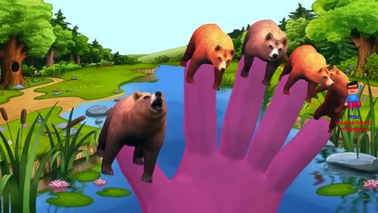 Finger Family Bears Cartoon Nursery Rhymes | 3D Bears Animation Songs for Babies