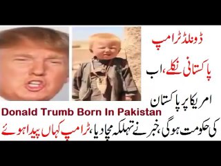 Donald Trump Born in Pakistan - Breaking News