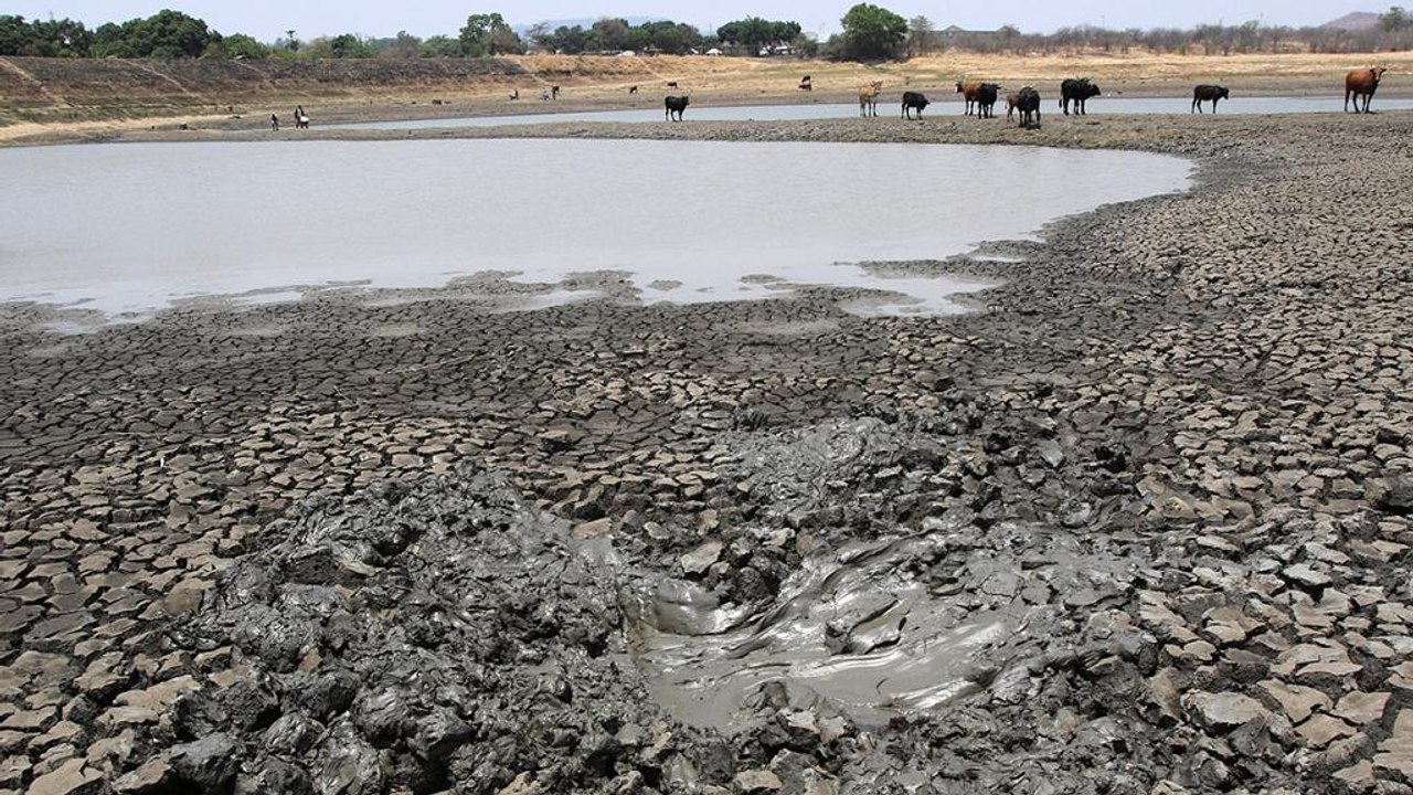 UN-Experten erwarten 2016 neuen Wärmerekord