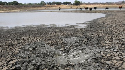 UN-Experten erwarten 2016 neuen Wärmerekord