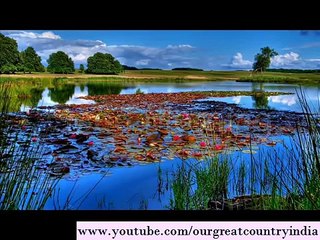 Very Good Morning | Good morning video clip for Whatsapp