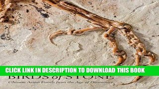 Read Now Birds of Stone: Chinese Avian Fossils from the Age of Dinosaurs Download Online