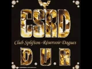 Aelpeacha - Y'a pas qu'la chatte