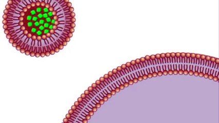 Vasayo Review  How Liposomes Works with Nano-Technology.  Join Top Leader: www.jodiunruh.com