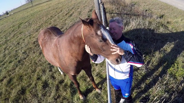 Ce cheval déteste les cyclistes à priori !