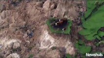 Three cows were left stranded after the quake