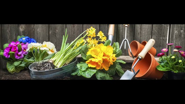 Garden Creations By Mike (269) 782-6990