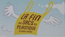 Stop aux déchets plastique ! lancement de la coalition sur le stand France à la COP 22 à Marrakech