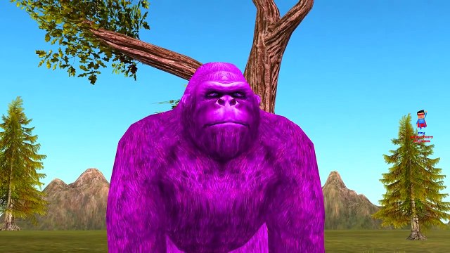 Colors Gorilla Vs Elephant Finger Family Nursery Rhymes | Gummy Elephant Vs Gummy Dinosaurs