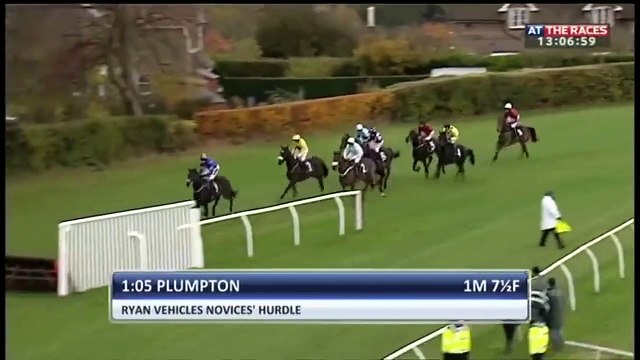 Un cheval sans jockey provoque un énorme carambolage en pleine course !