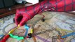 FROZEN ELSA SPIDER PRANK GONE WRONG Spiderman Vs Frozen Elsa Funny Superhero Animations
