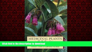 Best book  Medicinal Plants in Folk Tradition online to buy
