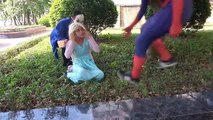 Frozen Elsa vs Maleficent! Cinderella Spiderman & Venom vs Joker, Anna, Captain Kiss & propose Gum