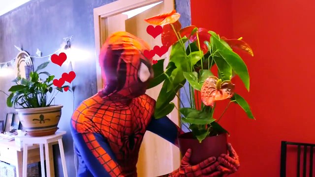 Spiderman Hypnotized by Joker & Maleficent w/ Frozen Elsa Colors Rainbow Hair in Real Life!