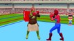 Hulk Vs Spiderman Epic Fight Battle For Children | Superhero Fights | Finger Family Cartoon For Kids