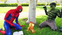 Frozen Elsa Becomes a Crazy Bee vs Spiderman & Hulk w Pink Spidergirl, Joker, Maleficent