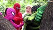 Superheroes in Real Life! Spiderman & Hulk & Frozen Elsa w/ Pink Girl SuperHeroes play HIDE & SEEK