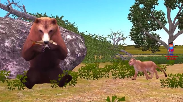 Lion Attacks Tiger Rhino Cheetah And Many More Animals In Jungle | Epic Battle Fight To Death