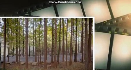 #스포츠토토솔루션 #올자동 토토 솔루션 판매(토토 솔루션 소스)가격 공개!い 카톡: haricuty스카이프:haricuty