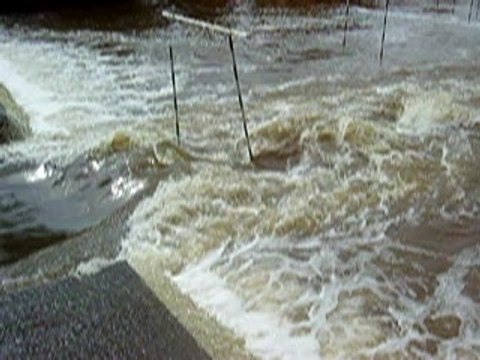 Basin d'eaux vives de Servon sur Vilaine 25/08/07