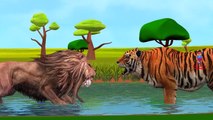 Lion Vs Tiger And Lion Vs Gorilla Cartoons Singing Finger Family Nursery Rhymes for Children