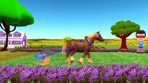 Horse Racing Videos For Children | Colors Horse Cartoons Nursery Rhymes For Babies
