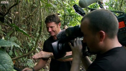 World's Biggest Ant! - Bullet Ant - Deadly 60 - Series 2