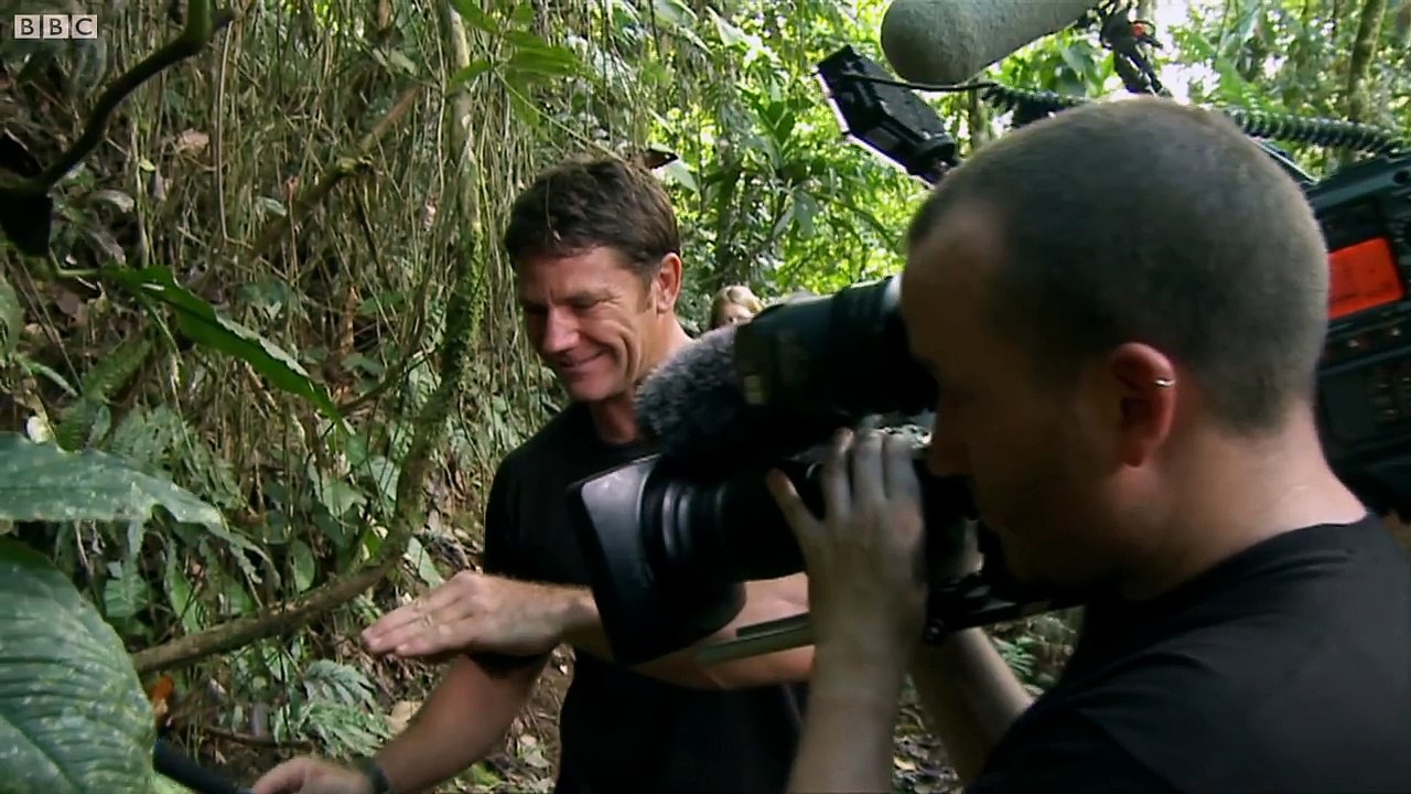 World's Biggest Ant! - Bullet Ant - Deadly 60 - Series 2