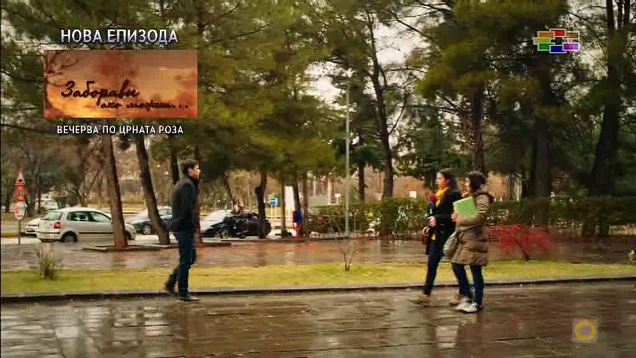 Црната Роза 228