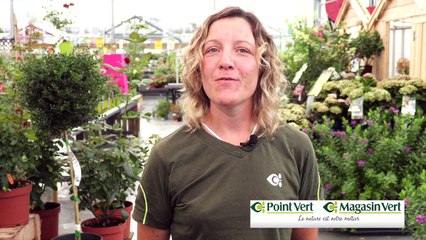 Conseil jardinage : la paillage pour protéger vos plantes