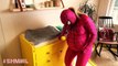 PINK SPIDERGIRL PREGNANT vs SPIDERMAN In Real Life Superhero movie fun IRL SHMIRL