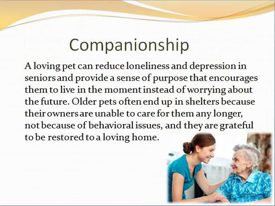 Why Adopting Older Pets Is Beneficial for the Elderly
