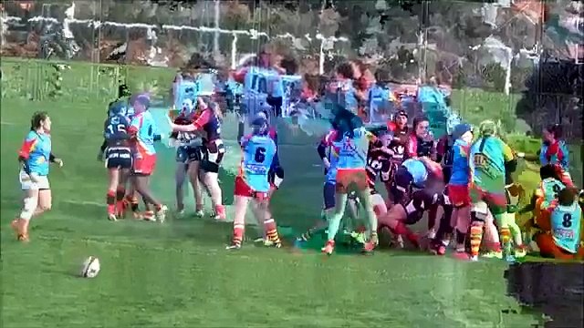 La grosse bagarre entre les cadettes de Perpignan et de Toulouse