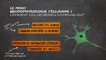 FUN-MOOC : Neurophysiologie cellulaire : Comment les neurones communiquent
