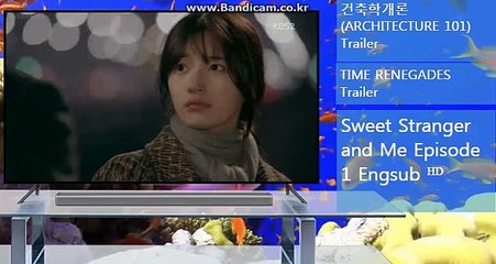 토토solution(17년경력프로그래머,6년경력디자이너) 24시간 직원항시대기