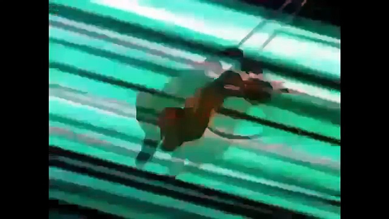 Tortues Ninja Saison 1 Episode 12 (TMNT Français)