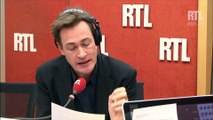 Rémi Sulmont : va-t-on encore pouvoir manger des bananes ?