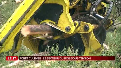 L'édition de la mi journée - Mardi 15 Novembre