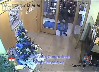 Grandma Fighting Bank Robber And Almost Gets Shot