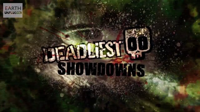 Peregrine vs Pigeon - Deadliest Showdowns