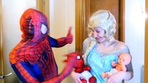 Spiderman w/ Frozen Elsa Pregnant ft Spiderbaby Twins in Real Life ft Pink Spidergirl Ghost & Hulk