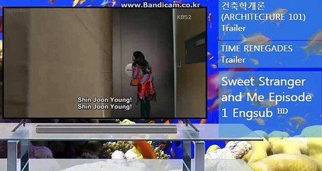 임대토토,사다리밸런스,토토솔루션제작전문