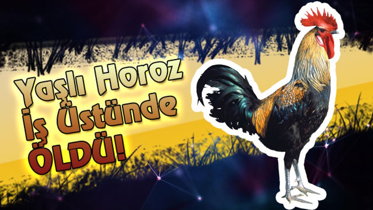 Yaşlı Horoz İş Üstünde ÖLDÜ!