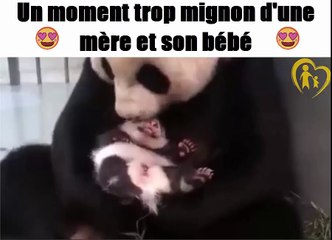 Un moment trop mignon d'une mère et son bébé