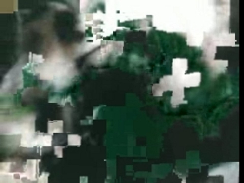 VID004